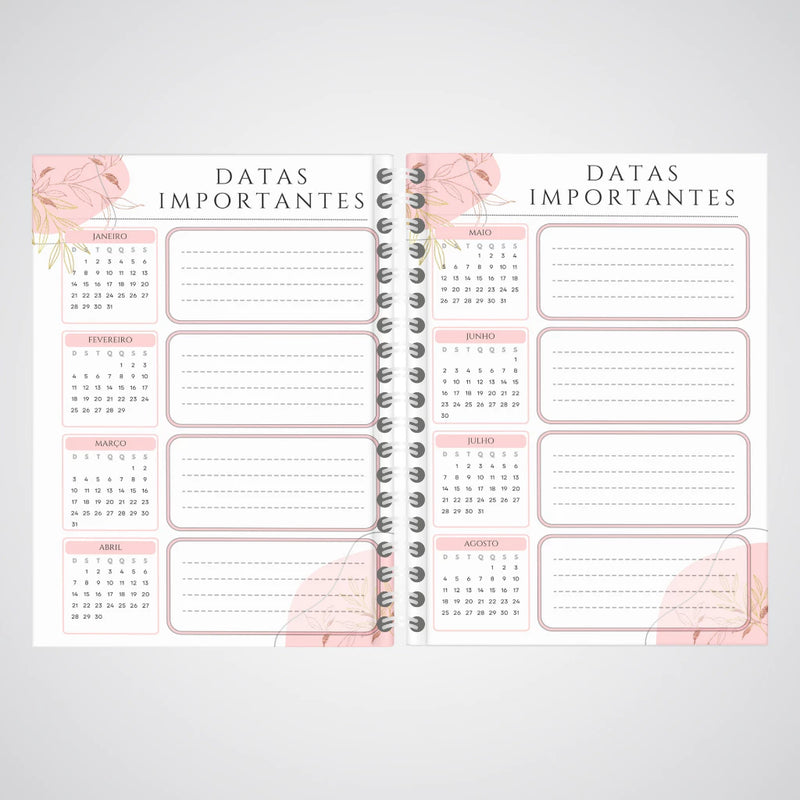 Agenda Planner Personalizada Lilo Stitch Feminina Anual 200pág- c Controle Financeiro Mensal Semanal